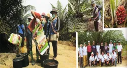 Lee Choo Chai General Manager PT Wanasari NusantaraHARAMAX Tingkatkan Produktivitas Pasca Replanting